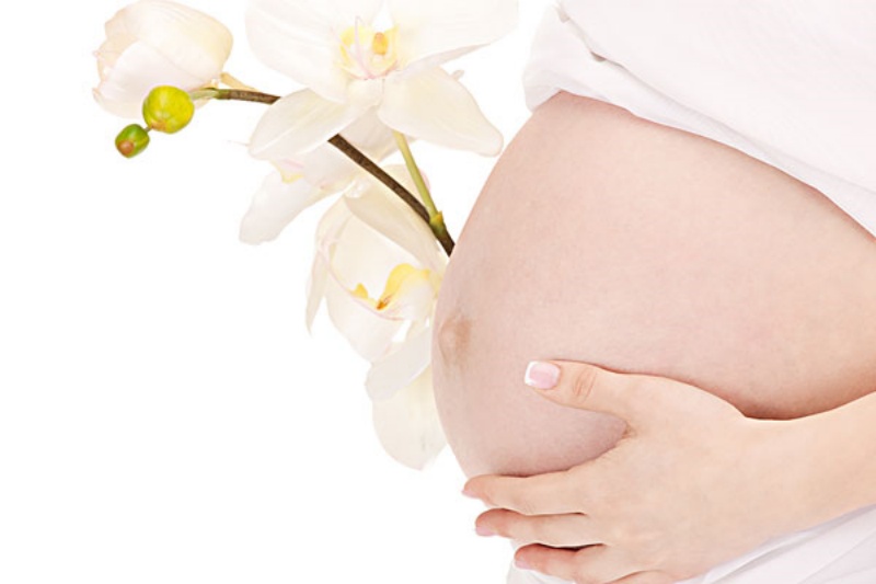 ���ݴ������ҳɳ�