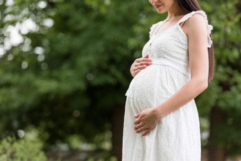 二、稳定的生活环境